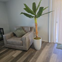 Fake Plant, 6 Feet