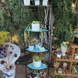 Tall Large Plant Stand Tower Plus Flower Pots Succulent Set Lot 