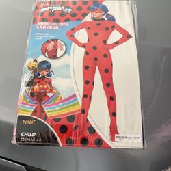 Ladybug Costume