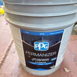 5 Gallons Coffee Paint 