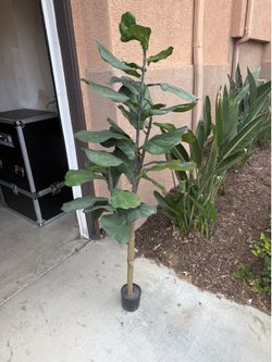 5ft. Faux Fiddle Fig tree