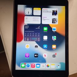 IPad Air 2  Cellular