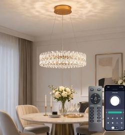 Modern Large Ring Chandelier with APP/Remote Control - 23.6inches Smart Control by APP/Remote, Color Temperature & Brightness Dimmable, Height Adjusta