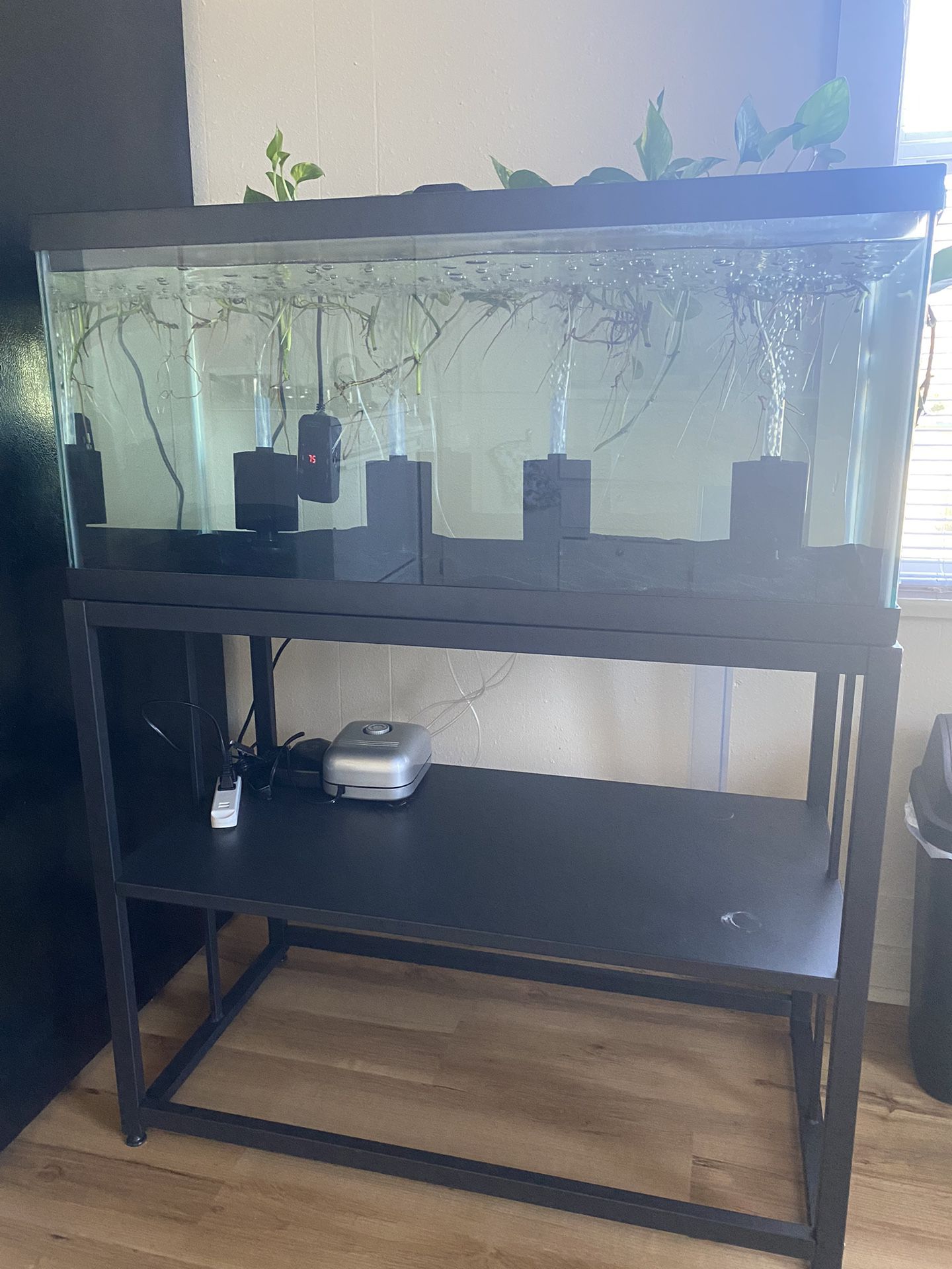 40 Gallon Breeder w/stand, air pump, backup air pump, sponge filters and heater