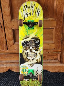 Skateboard- David Gravette
