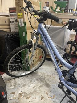 18 Speed Cruising Bicycle 