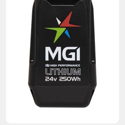 LITHIUM 36 HOLE 24V 250WH BATTERY