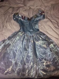 Cinderella Costume