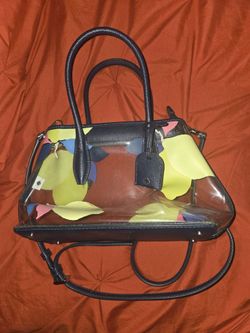 Kate Spade Clear Crossbody