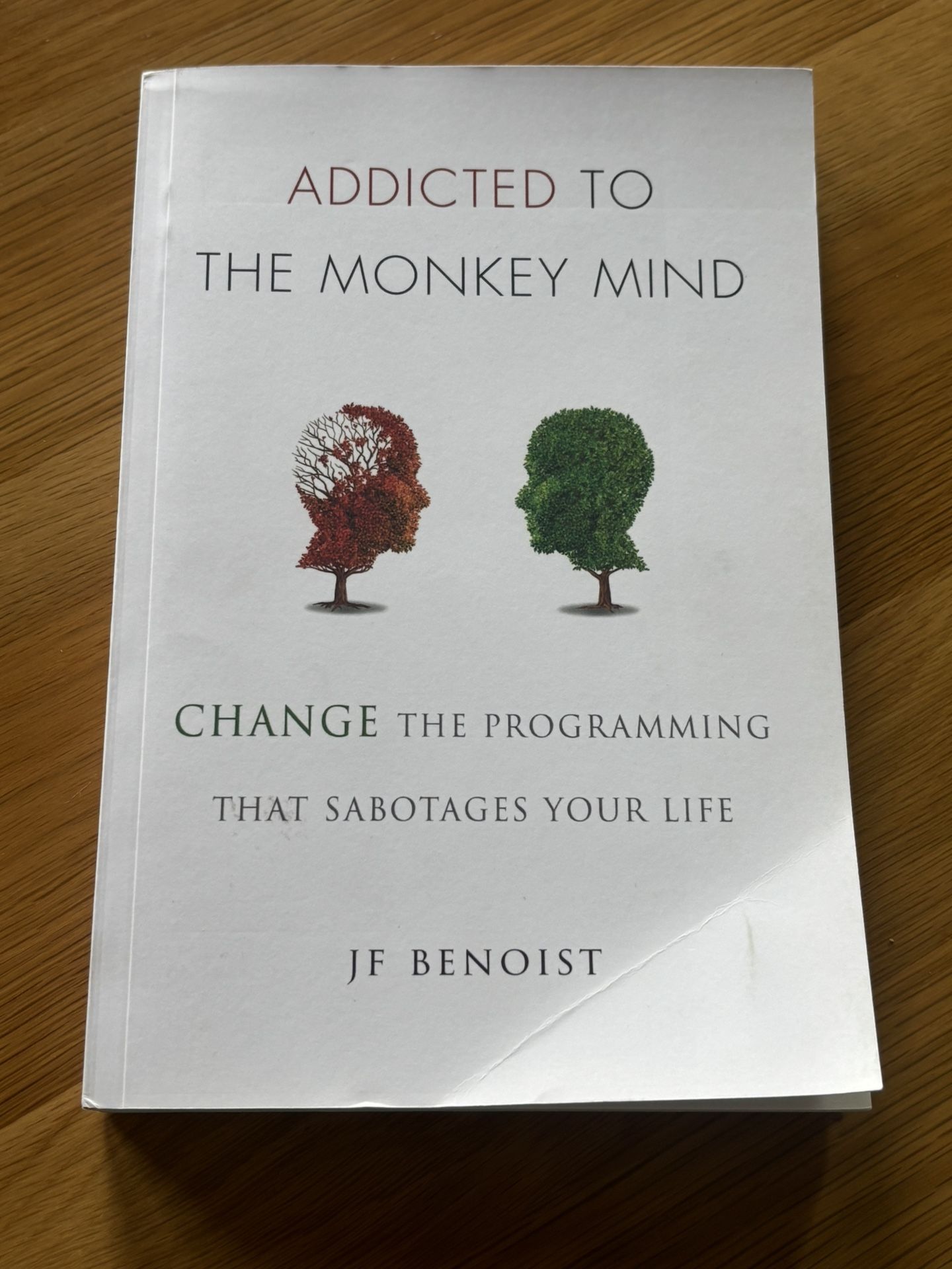 Addicted To The Monkey Mind Book
