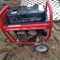 Troy-Bilt Generator 