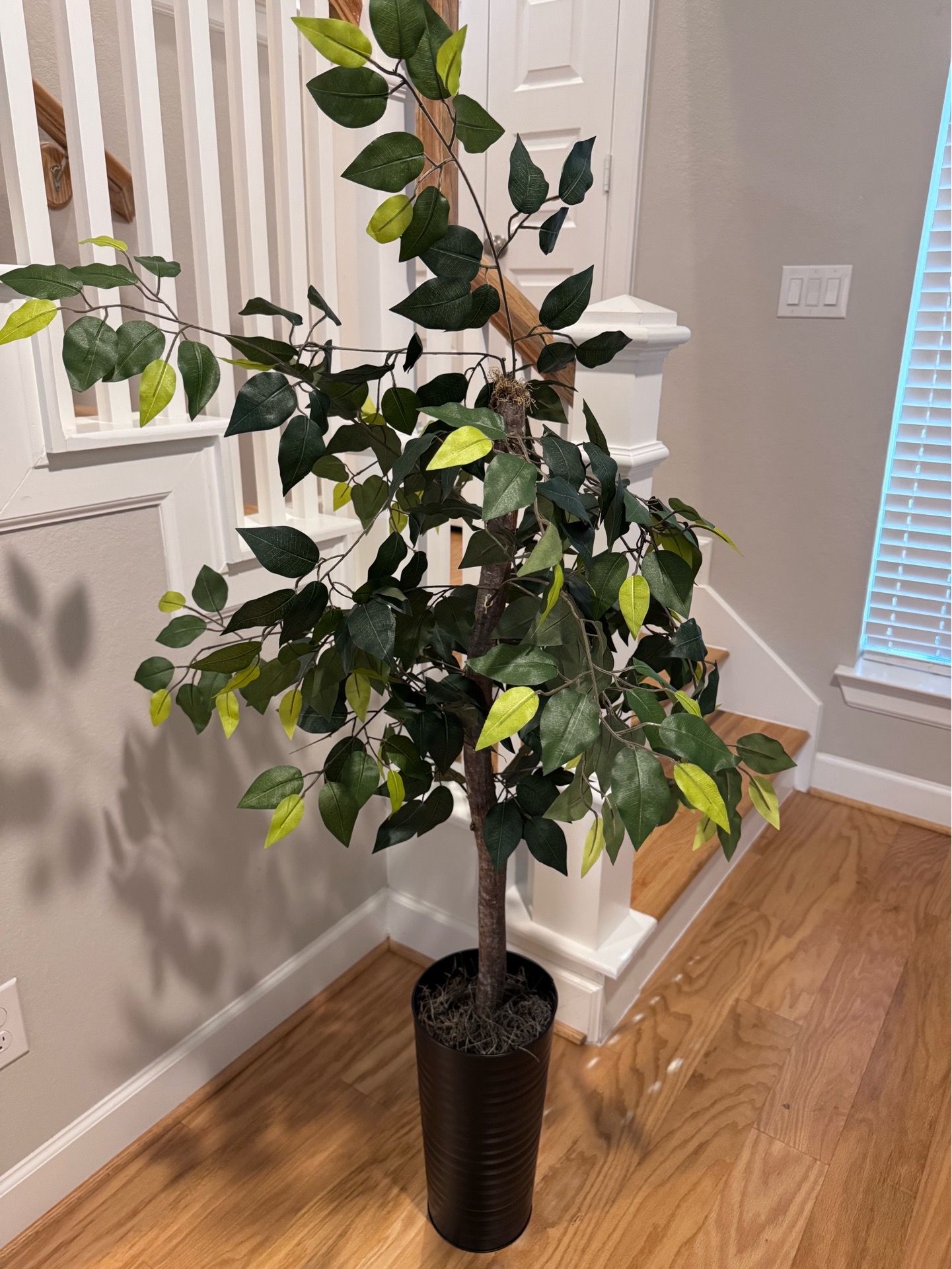 Faux plant — $20