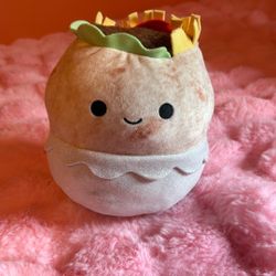 Squish mellow That Converts From Burrito To Taco 