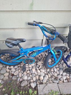 16 inch dynocraft   bike