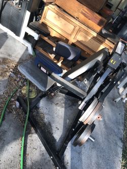 Seated calf raise and tricep machine