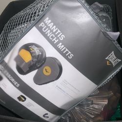 Punching Bag And Gloves For Sale 