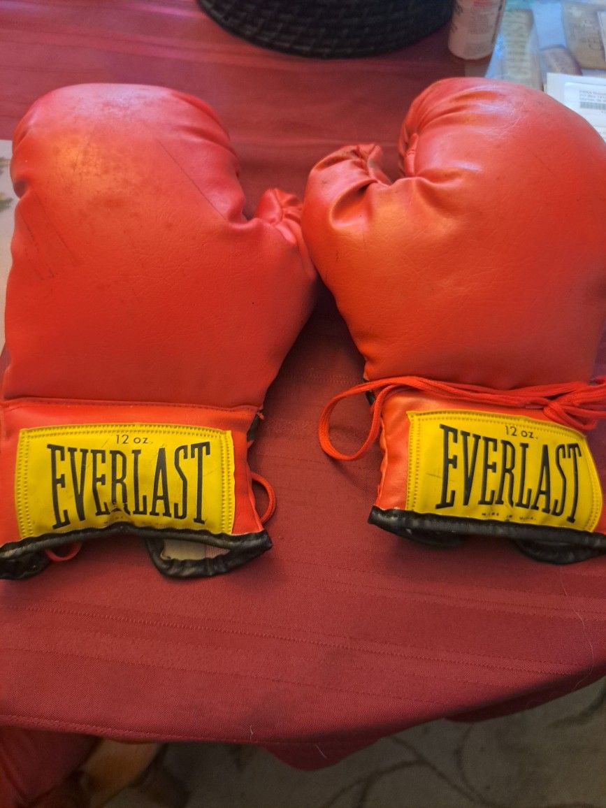 Ever Last BOXING GLOVES 2 PAIRs Adults