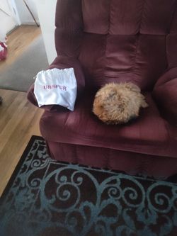 Racoon Fur Insulated Ladies Hat