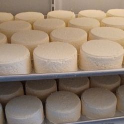Queso Fresco Casero 100 % Orgánico Sin Químicos Ni Conservadores 