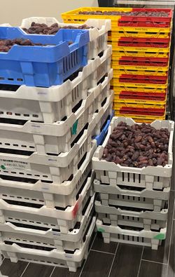 Medjool Dates 35$ 11lbs