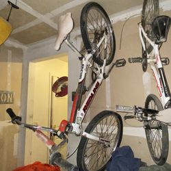 24” Redline Proline