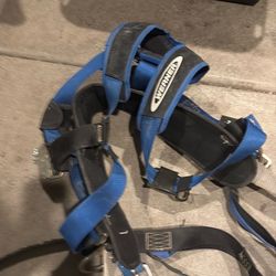 Werner harness