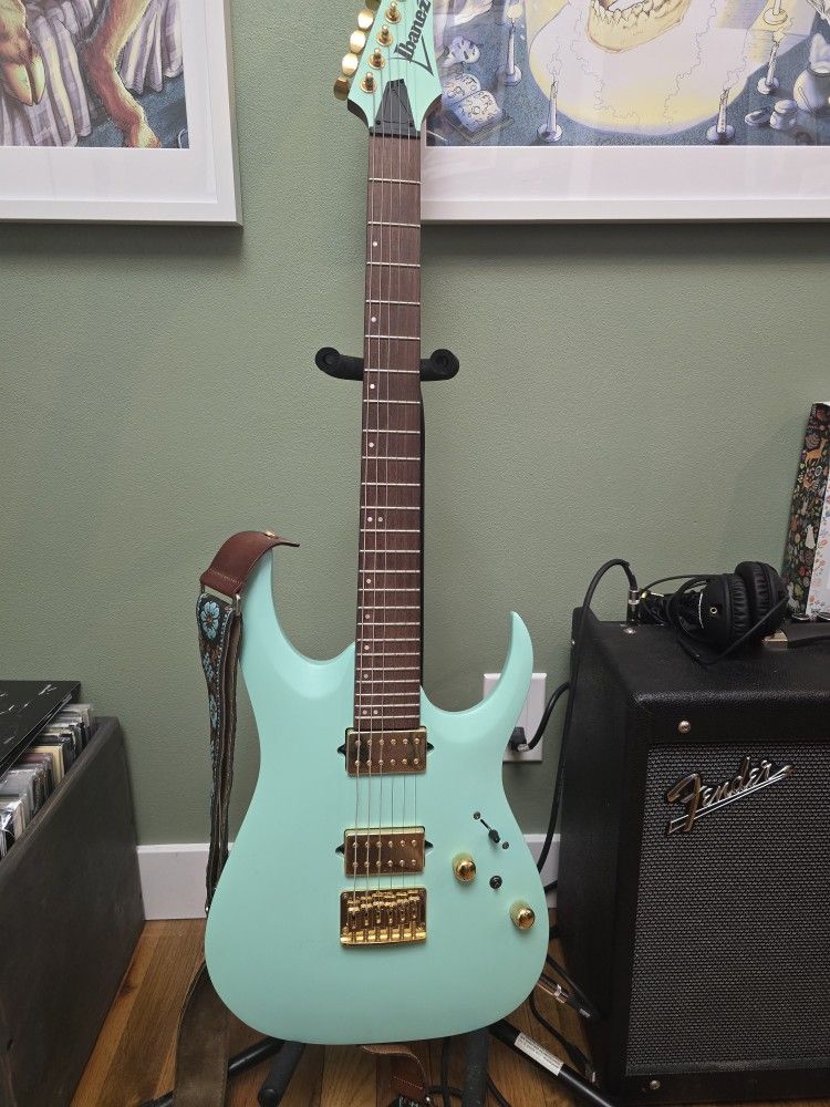 Beautiful Ibanez Guitar