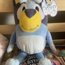 Bluey plush