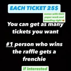 Raffle 