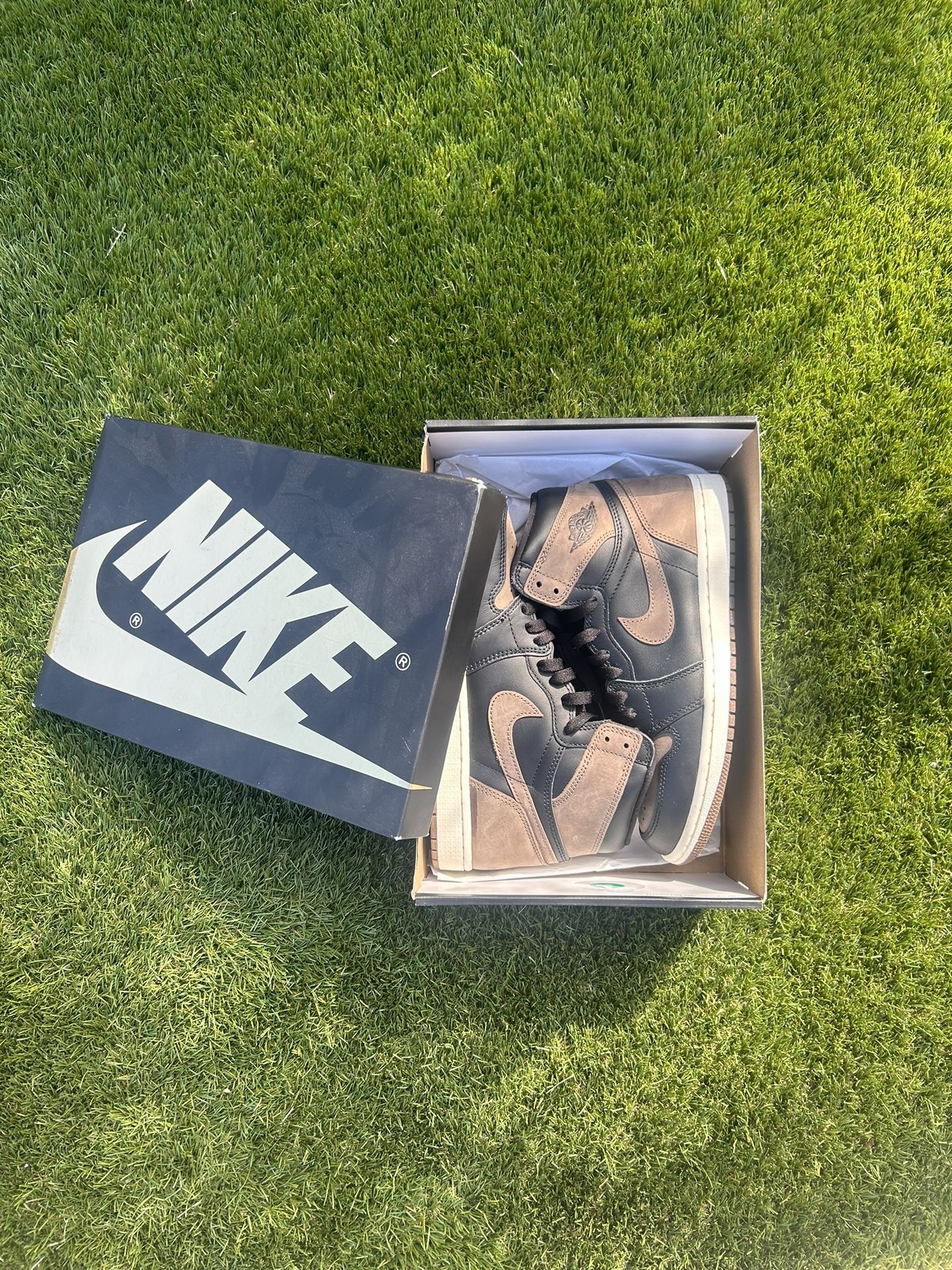 Jordan 1 palomino