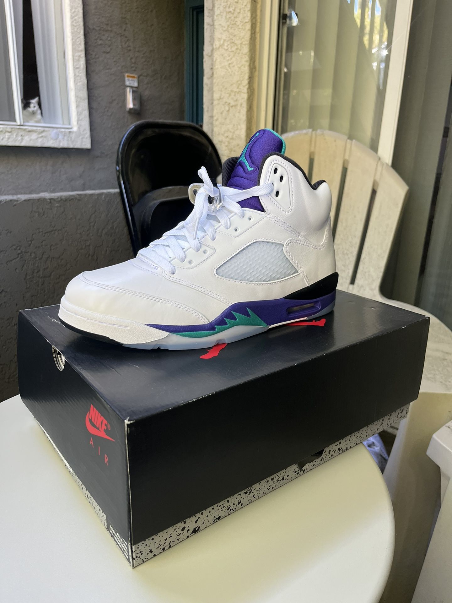 Jordan Grape V 5 Sz 10 New