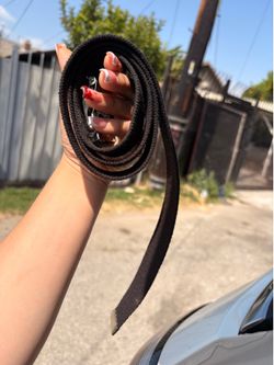 Belt