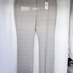 Express Dress Pants