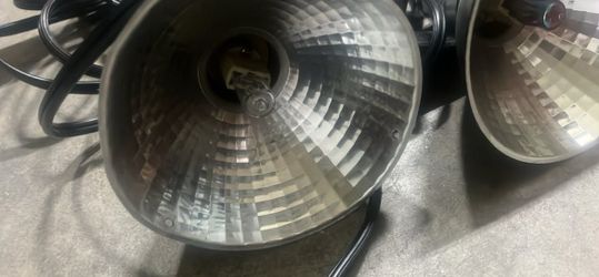 Halogen bulb lights