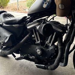 Mustang Motorcycle Seat 