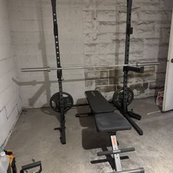 Fitness Gear 300 LB Olympic Weight Set + Fitness Reality Multi-Function Power Rack Squat Stand (Weight Bench In Photo NOT INCLUDED)