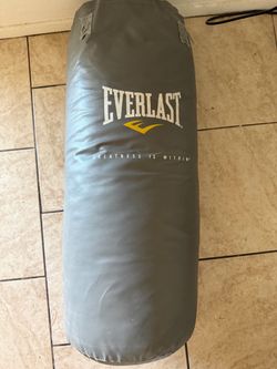 Everlast Boxing Bag