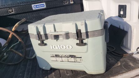 Igloo cooler 81 cans 50 QTs