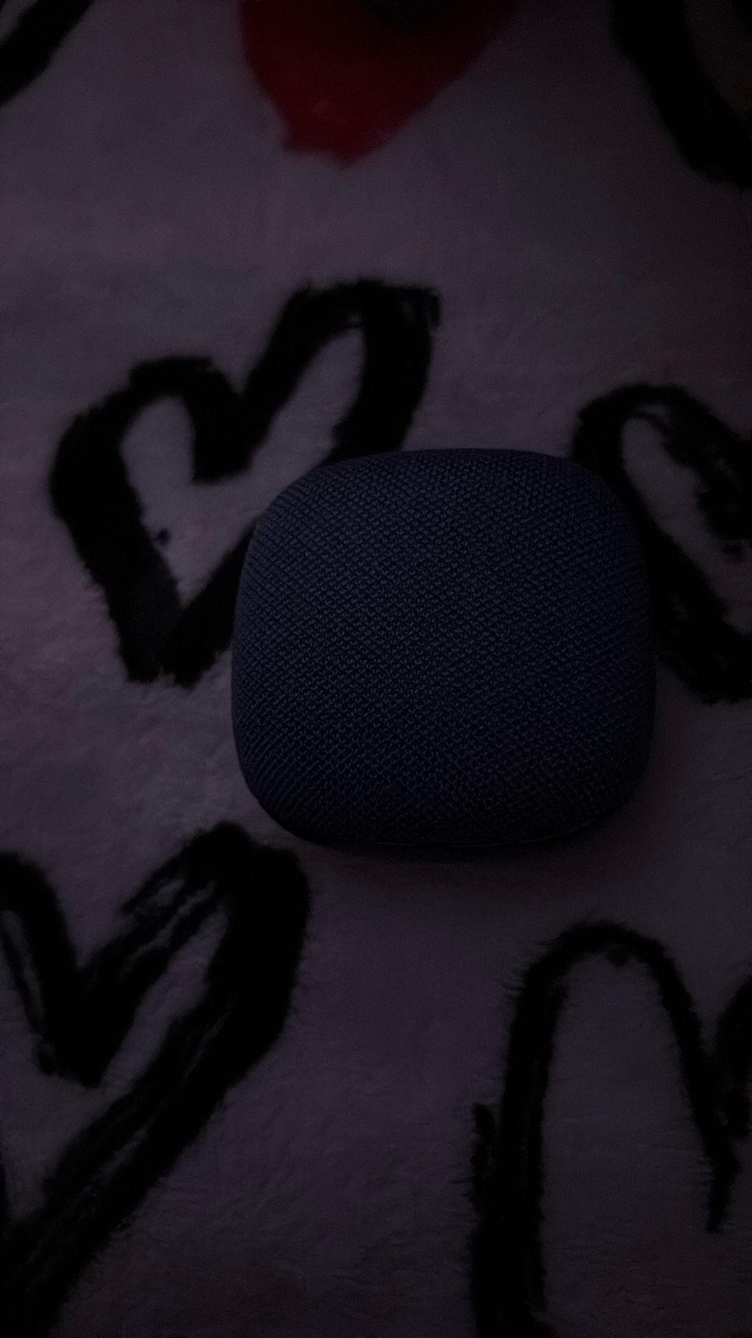 Truebuds Echo Wireless Bluetooth Headphones