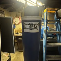 Prolast Heavy Punching Bag