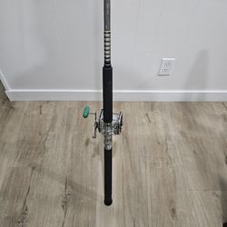 Fishing Pole Daiwa With Penn Reel