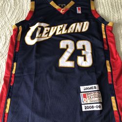 LeBron James 1st MVP year! 2008-09 Cleveland Cavaliers Uniform