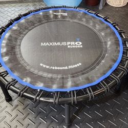 Maximus Pro Bungee Rebounder Trampoline