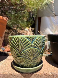 Assorted Plant Pots