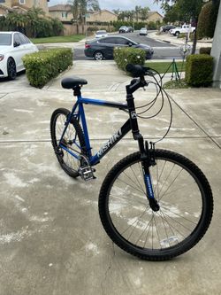 Nishiki bike