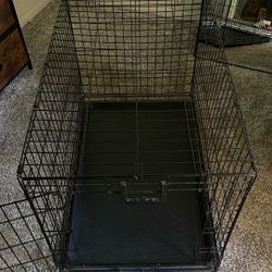 Doggy Kennel