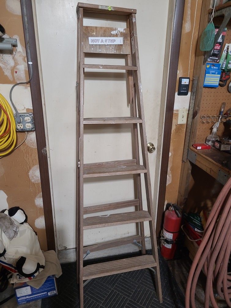 Werner 6' Folding Ladder
