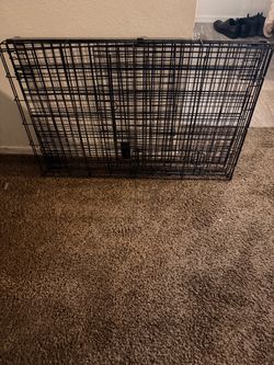 dog cage