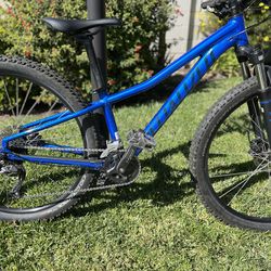 Specialized Mountain Bike - XS