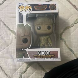 Groot Pop 1203